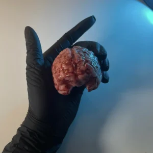 Squishy Big Brain
