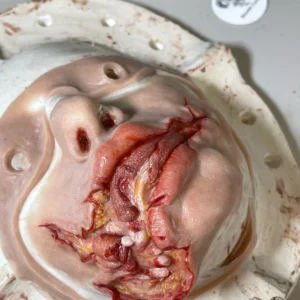 Painted Mauled Face Prosthetic.