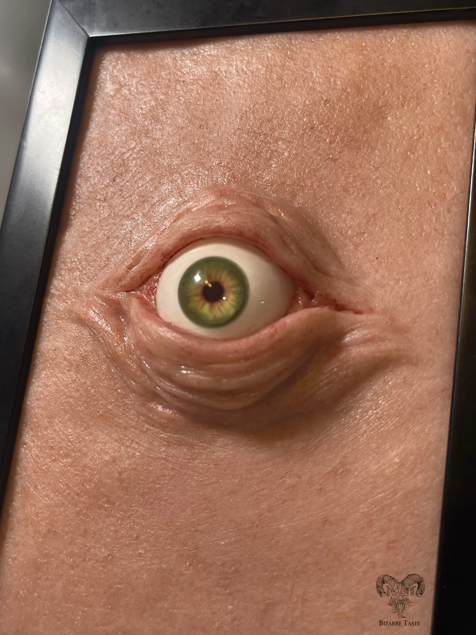 Framed Eye. - Image 4